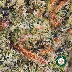 Buy weed Strawberry Cream Cookies AAAA (Popcorn Nugs) wc cannabis weed dispensary & online pot shop