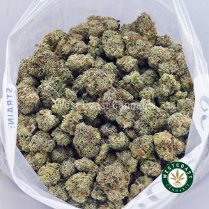 Buy weed Wedding Pie AAAA (Popcorn Nugs) wc cannabis weed dispensary & online pot shop