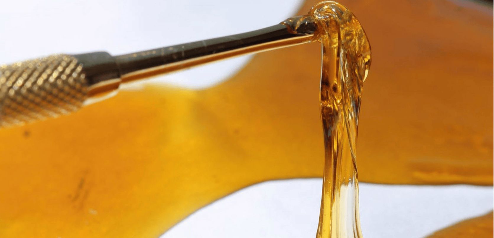 Distillate THC is essentially a highly refined cannabis extract known for its potency and purity. 