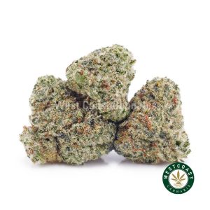 Buy weed Alien Cookies AAAA (Popcorn Nugs) wc cannabis weed dispensary & online pot shop