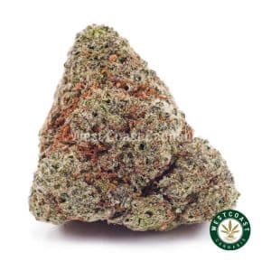 Buy weed Astro Cookie AAAA wc cannabis weed dispensary & online pot shop