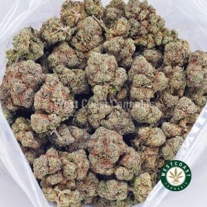 Buy weed Astro Cookie AAAA wc cannabis weed dispensary & online pot shop