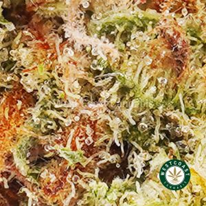 Buy weed Atomic Northern Lights AAA wc cannabis weed dispensary & online pot shop