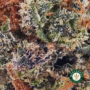 Buy weed Blackberry Punch AAA wc cannabis weed dispensary & online pot shop