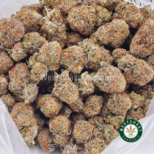 Buy weed Bluefin Tuna AAA wc cannabis weed dispensary & online pot shop