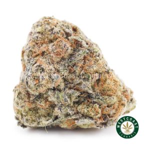 Buy weed Dolato AAAA wc cannabis weed dispensary & online pot shop