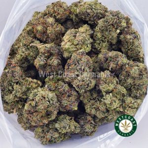 Buy weed El Diablo AAAA wc cannabis weed dispensary & online pot shop