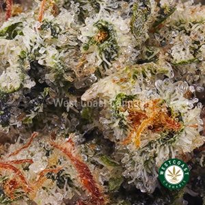 Buy weed El Jefe AAA wc cannabis weed dispensary & online pot shop