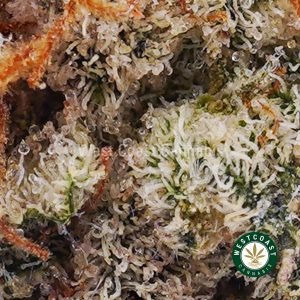Buy weed Funky Charms AAAA (Popcorn Nugs) wc cannabis weed dispensary & online pot shop