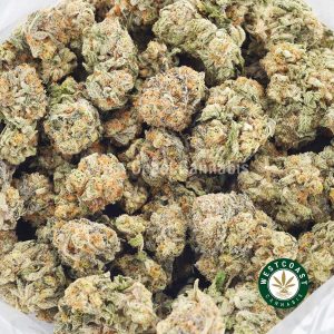 Buy weed Gorilla Biscuit AAAA wc cannabis weed dispensary & online pot shop