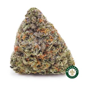 Buy weed High Octane AAAA wc cannabis weed dispensary & online pot shop