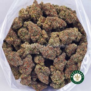 Buy weed King Tut AAA wc cannabis weed dispensary & online pot shop