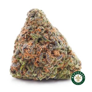 Buy weed Master Kush Ultra AAA wc cannabis weed dispensary & online pot shop
