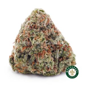Buy weed Northern Lights AAA wc cannabis weed dispensary & online pot shop
