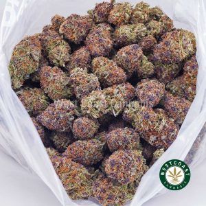 Buy weed Alaskan Thunder Fuck AAA wc cannabis weed dispensary & online pot shop