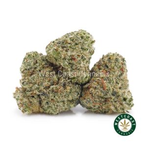 Buy weed Slurricane AAAA (Popcorn Nugs) wc cannabis weed dispensary & online pot shop