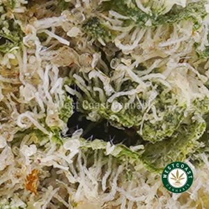 Buy weed Slurricane AAAA (Popcorn Nugs) wc cannabis weed dispensary & online pot shop