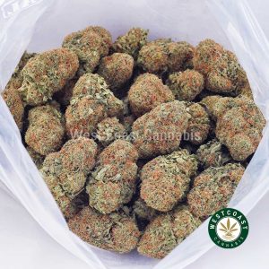 Buy weed Kosher Kush AAA wc cannabis weed dispensary & online pot shop