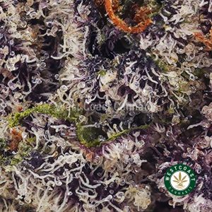 Buy weed Confetti Cake AAAA (Popcorn Nugs) wc cannabis weed dispensary & online pot shop