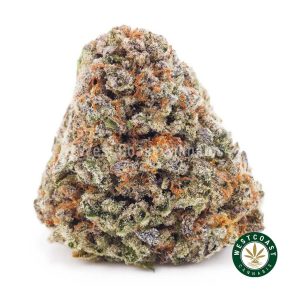 Buy weed King's Kush AAA wc cannabis weed dispensary & online pot shop