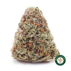 Buy weed Maui Wowie AA wc cannabis weed dispensary & online pot shop