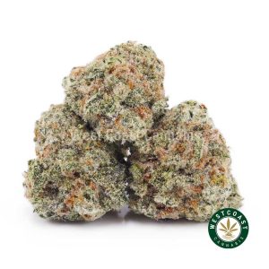 Buy weed Animal Crackers AAAA (Popcorn Nugs) wc cannabis weed dispensary & online pot shop