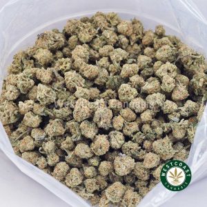 Buy weed Animal Crackers AAAA (Popcorn Nugs) wc cannabis weed dispensary & online pot shop
