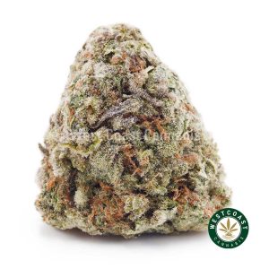 Buy weed Super Silver Haze AA wc cannabis weed dispensary & online pot shop