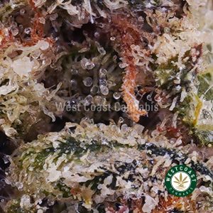 Buy weed Super Silver Haze AA wc cannabis weed dispensary & online pot shop
