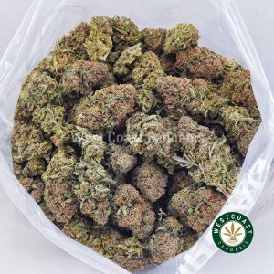 Buy weed Hawaiian Snow AA wc cannabis weed dispensary & online pot shop