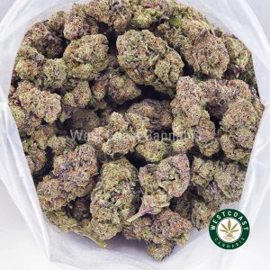 Buy weed Gelato #33 AAA wc cannabis weed dispensary & online pot shop
