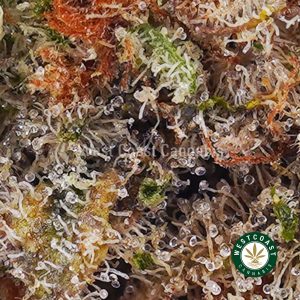 Buy weed Girl Scout Cookies (GSC) AAA wc cannabis weed dispensary & online pot shop