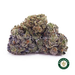 Buy weed Purple Gasoline AAAA (Popcorn Nugs) wc cannabis weed dispensary & online pot shop