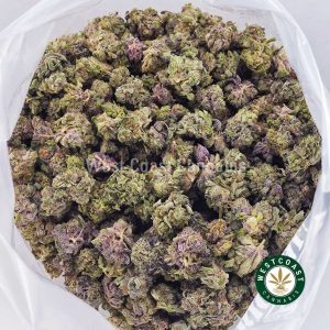 Buy weed Purple Gasoline AAAA (Popcorn Nugs) wc cannabis weed dispensary & online pot shop