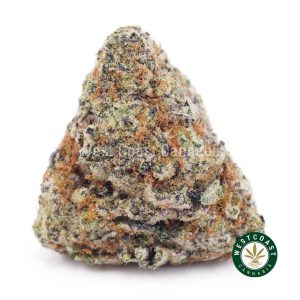 Buy weed Mendo Cookies AAA wc cannabis weed dispensary & online pot shop
