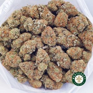 Buy weed Papaya Punch AAA wc cannabis weed dispensary & online pot shop