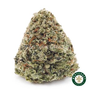 Buy weed Jack Herer AAA wc cannabis weed dispensary & online pot shop