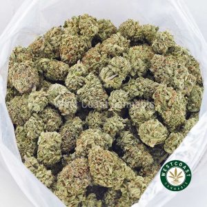 Buy weed Jack Herer AAA wc cannabis weed dispensary & online pot shop