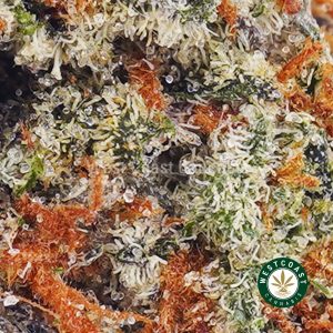 Buy weed Green Crack AAA wc cannabis weed dispensary & online pot shop