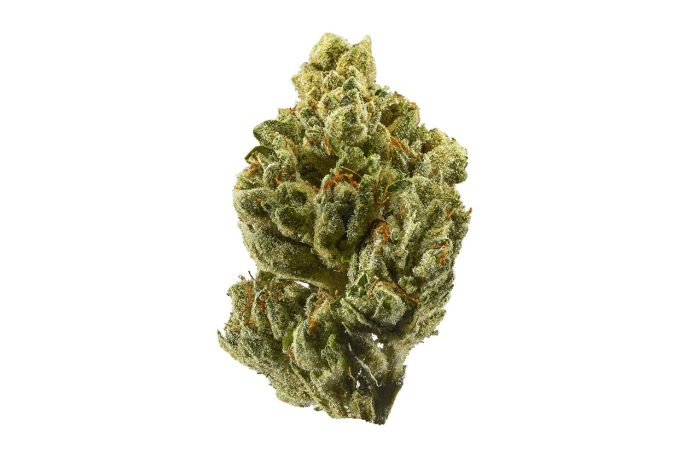 The Alien OG strain is the rarest hybrid strain online & it can be yours for the lowest price in Canada. Find out how the high feels.