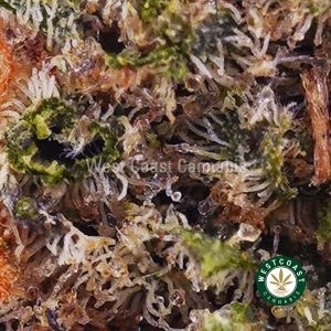 Buy weed Astroboy AA wc cannabis weed dispensary & online pot shop