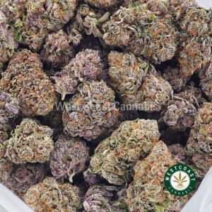 Buy weed Blue Magoo Cookies AAAA wc cannabis weed dispensary & online pot shop