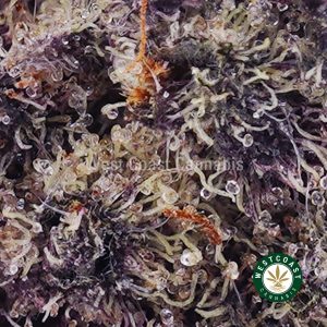 Buy weed Gods Green Crack AAAA wc cannabis weed dispensary & online pot shop