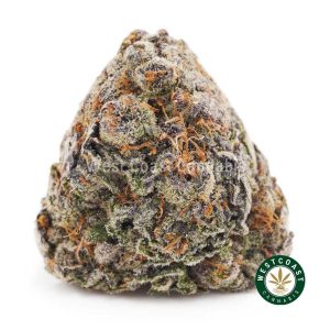 Buy weed Granddaddy Purple AAAA wc cannabis weed dispensary & online pot shop