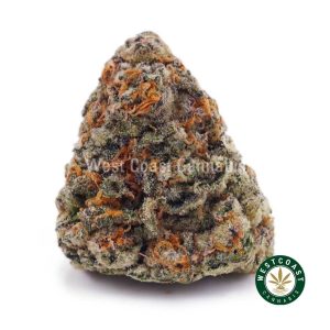 Buy weed OG Skunk AA wc cannabis weed dispensary & online pot shop
