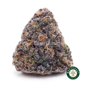 Buy weed Purple Skunk AAAA wc cannabis weed dispensary & online pot shop