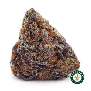 Buy weed Purple Thunder Fuck AAAA wc cannabis weed dispensary & online pot shop
