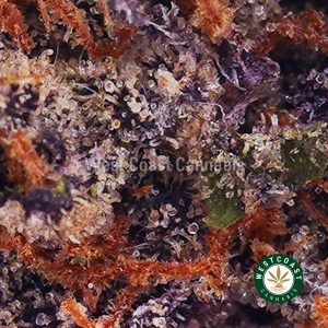 Buy weed Purple Trainwreck AAA wc cannabis weed dispensary & online pot shop