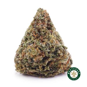 Buy weed Super Lemon Haze AA wc cannabis weed dispensary & online pot shop