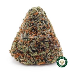 Buy weed Peach Runtz AA wc cannabis weed dispensary & online pot shop